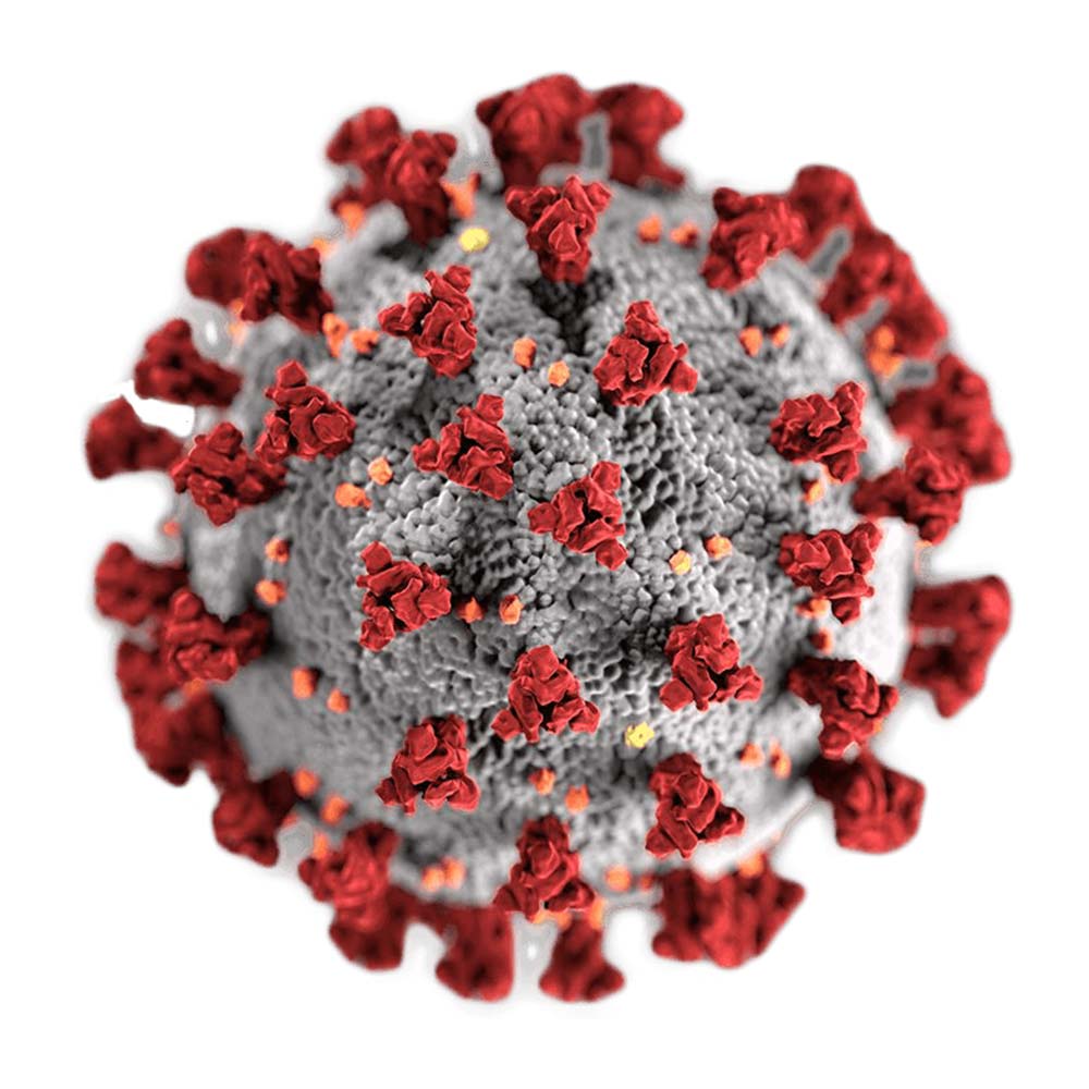 COVID. Quarantine. Isolation. Explained.