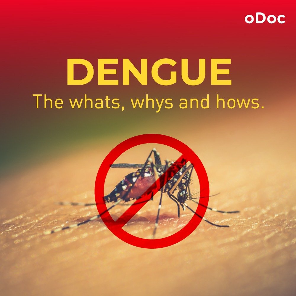 Dengue: the whats, whys and hows.