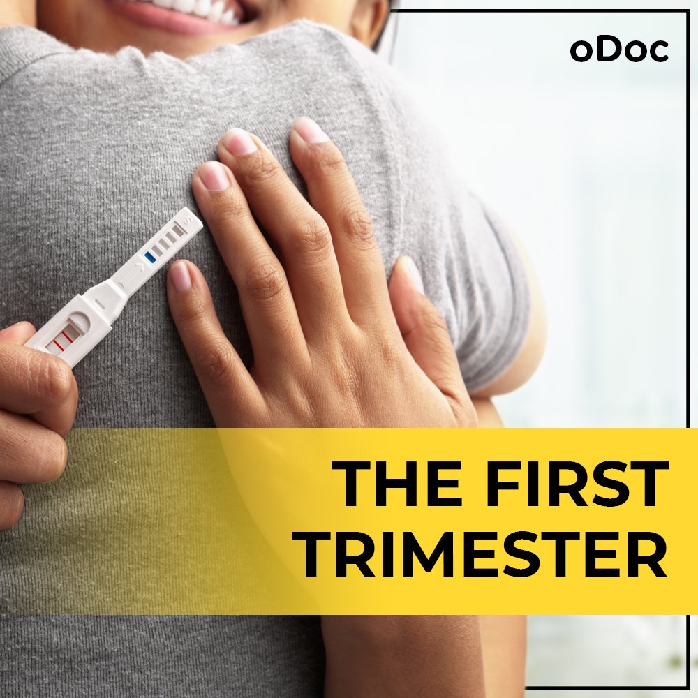 The First Trimester