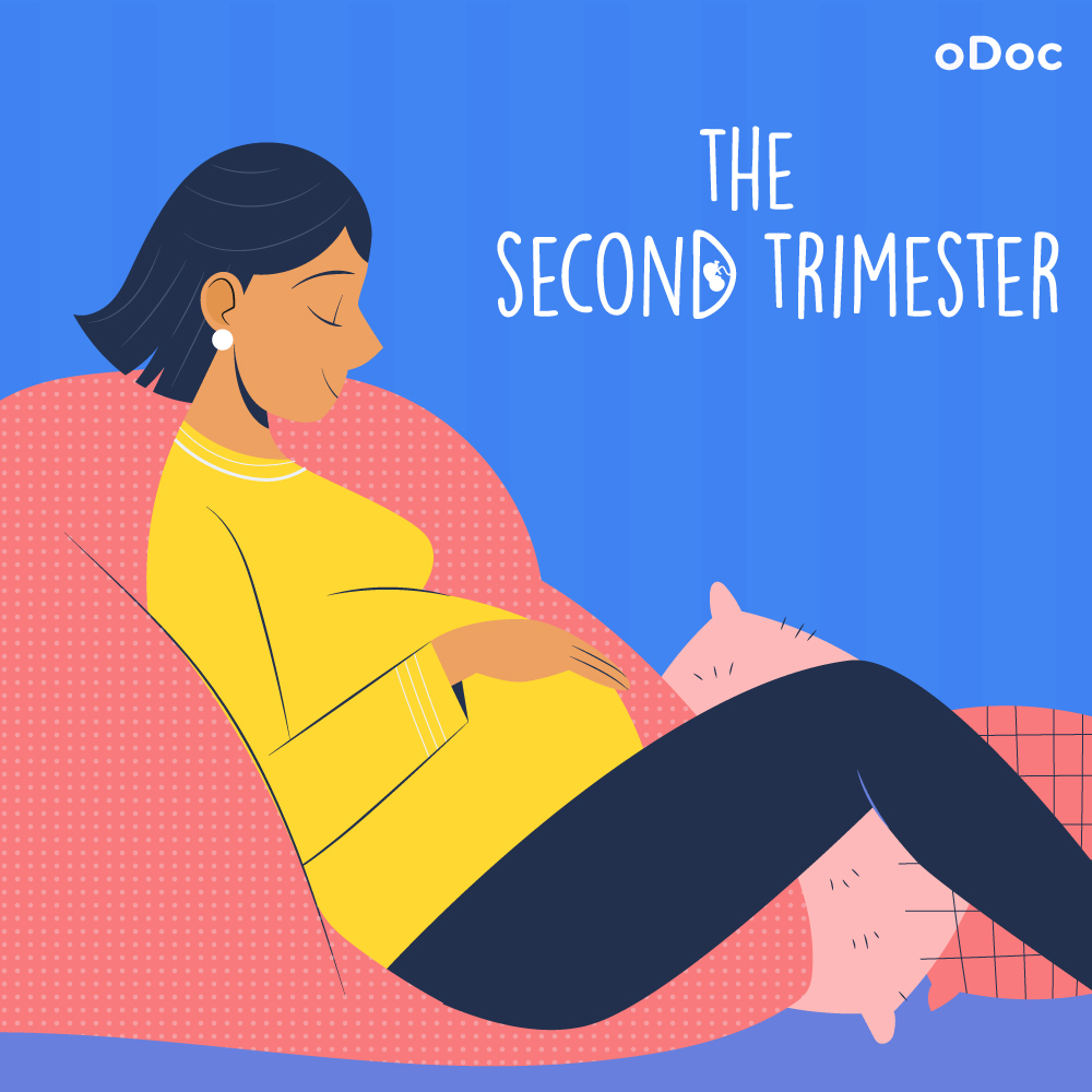 The Second Trimester