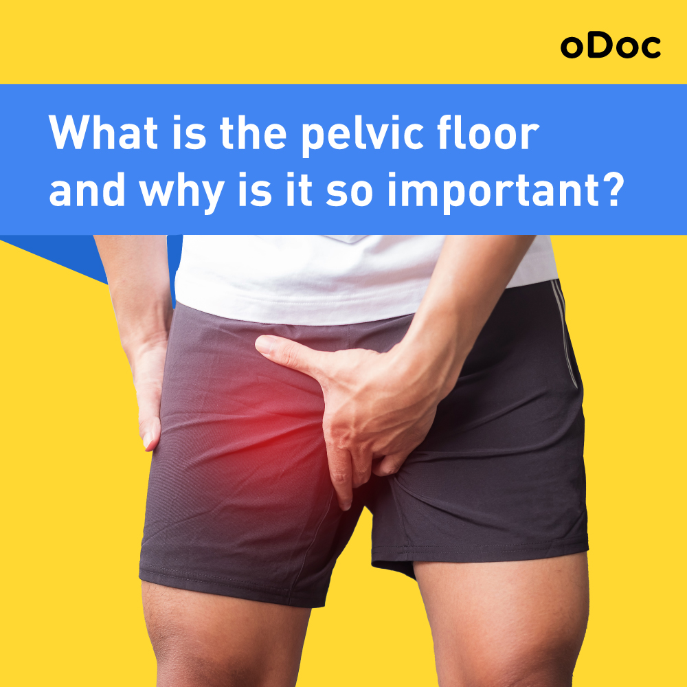 What is the pelvic floor and why is it so important?