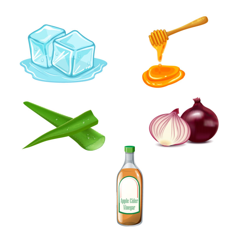 5 Best Home Remedies for Mosquito Bites From the oDoc Blog