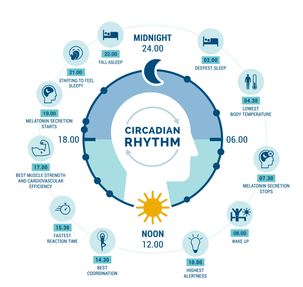 circadian rhythm and sleep