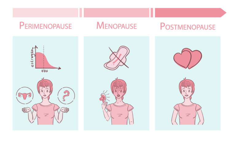 stages of menopause