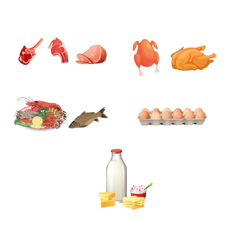 Animal Protein vs Plant Protein Full details you need to know